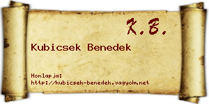 Kubicsek Benedek névjegykártya