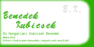 benedek kubicsek business card